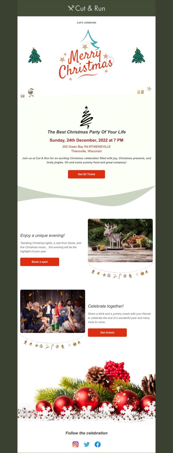 Event Promotion Email Template 'Party of Your Life' for Christmas ...
