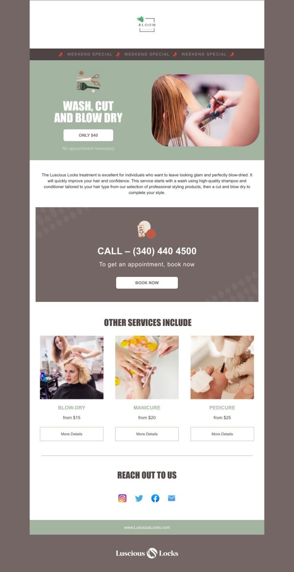 Special Offer Email Template 'Professional Styling Services' for Spa ...