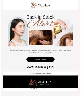 back-in-stock-email-template-styling-kits-for-spa