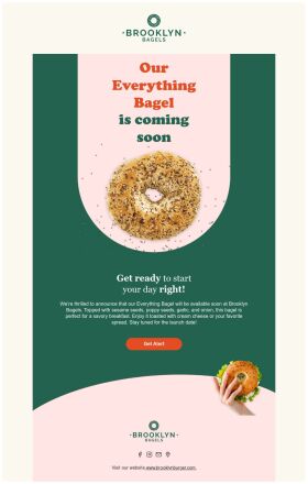 coming-soon-email-template-everything-bagel-for-food