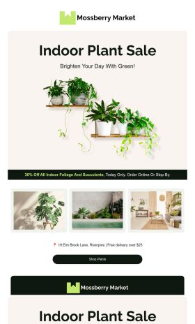 daily-specials-email-template-indoor-plants-for-small-business