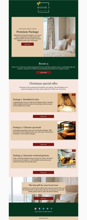 new-arrival-email-template-premium-room-package-for-christmas