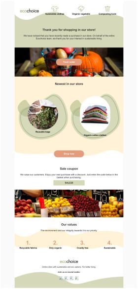 thank-you-email-template-sustainable-products-store-for-environment-agency