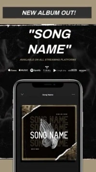 "New Single" NEW ALBUM RELEASE AVAILABLE AD Instagram Story template