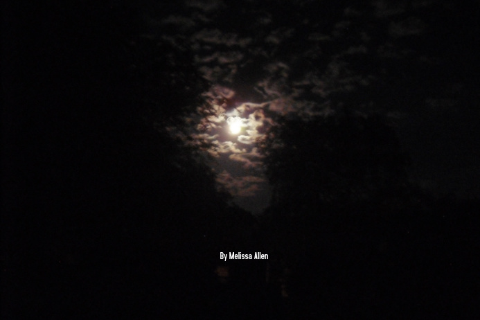 Moonlight Template PosterMyWall
