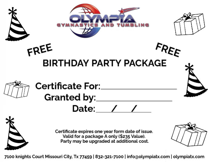 Birthday Party Package Flyer (US Letter) template