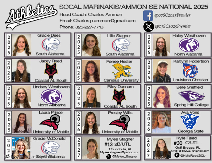 Team Roster Sheet | PosterMyWall