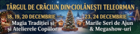 TÂRGUL DE CRĂCIUN DIN CIOLĂNEȘTI TELEORMAN