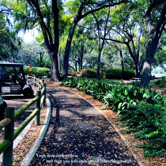 115 Template | PosterMyWall