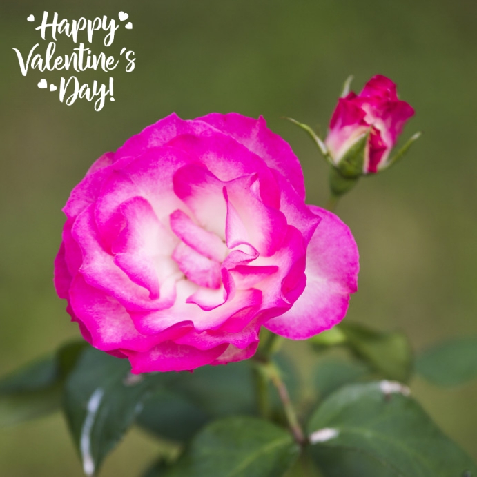 Copy Of 217 Ilu Love Postermywall