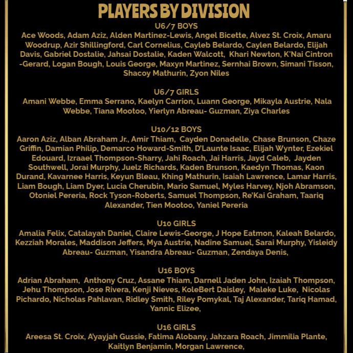 Copy of Players by Division | PosterMyWall