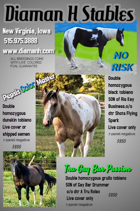 2021 stud flyer | PosterMyWall