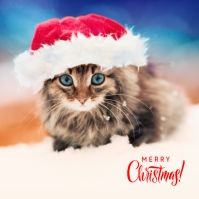 Hvid Christmas Cats Wpis na Instagrama Template