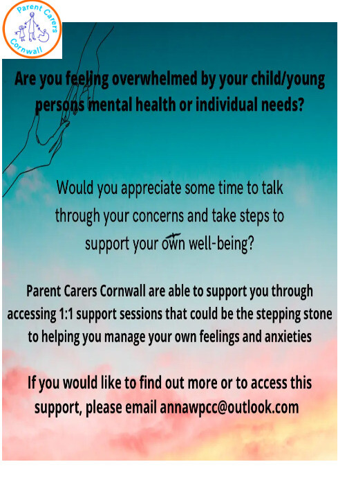 Copy of PCC support sessions | PosterMyWall