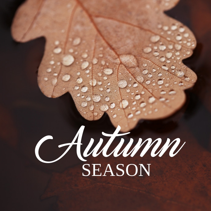 Fall Design Post 36 Autumn and Fall Template | PosterMyWall