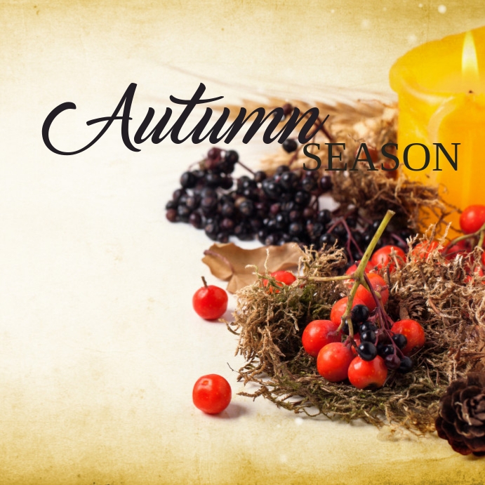 Fall Design Post 37 Autumn and Fall Template | PosterMyWall