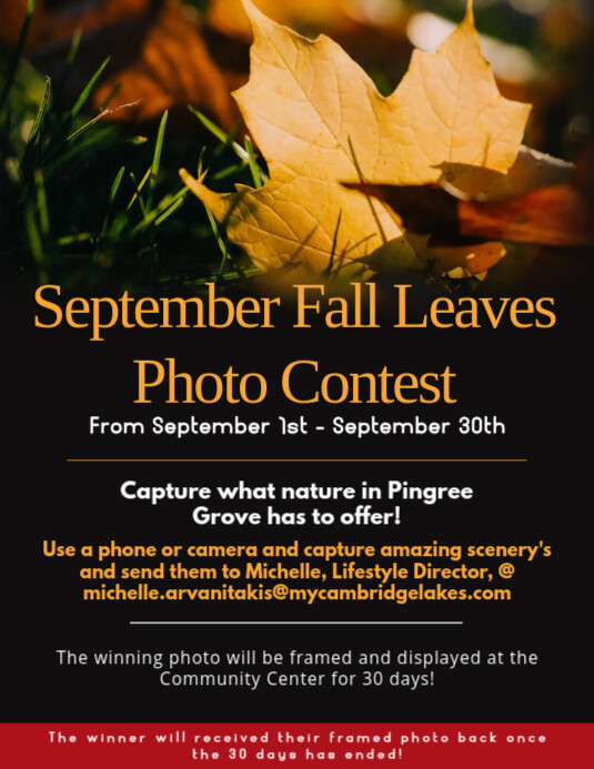 Copy of Sept Fall Leaves | PosterMyWall
