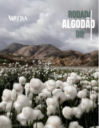Rodada do Algodão