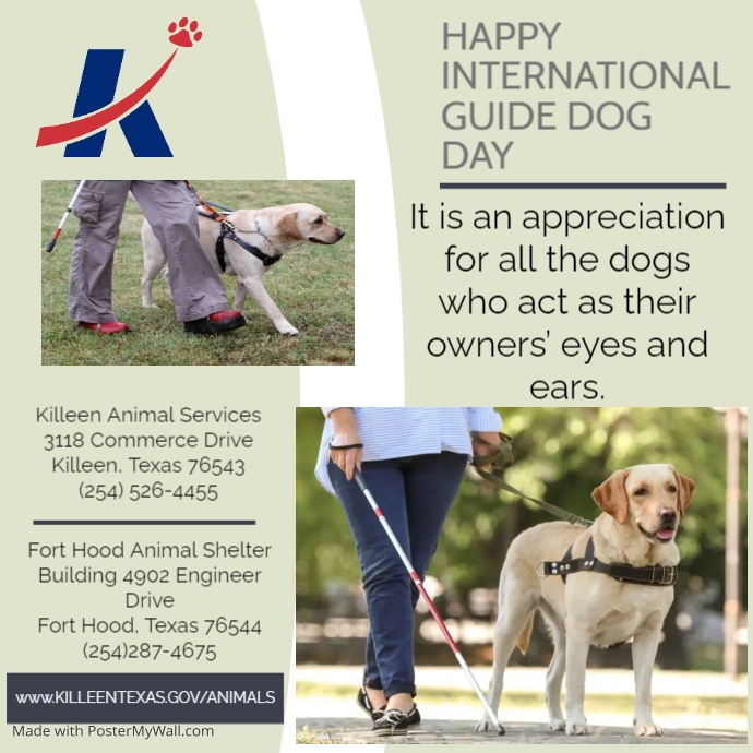 happy international guide dog day PosterMyWall International Guide Dog Day 2025 Celebration