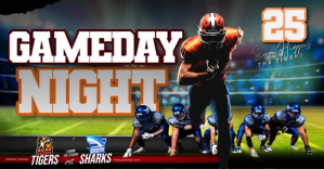 3d Gameday Night  Facebook Shared Image template