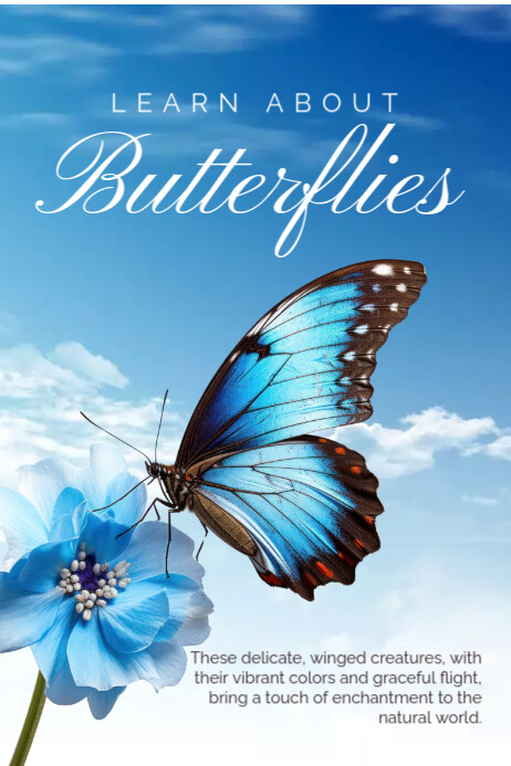 3d Learn About Butterflies Poster template