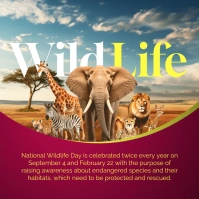 3d National Wildlife Day Instagram Post template