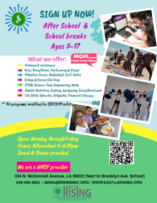 School Posters (1) Flyer (US Letter) template