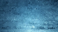 4325 Digital na Display (16:9) template