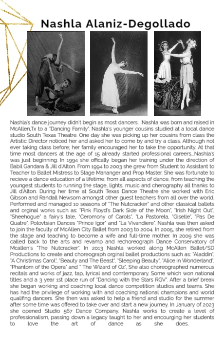 Page Bio Poster template