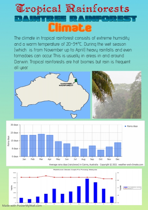 Daintree Rainforest Climate | PosterMyWall