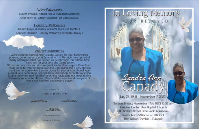 Copy of Sandra Canady cover | PosterMyWall