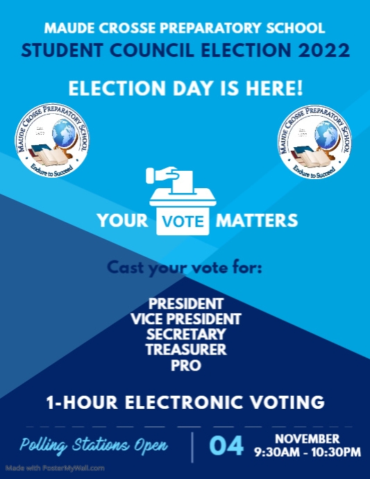 Copy of Copy of Election Campaign Flyer | PosterMyWall