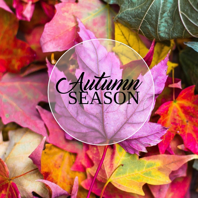 50 Autumn and Fall Template | PosterMyWall