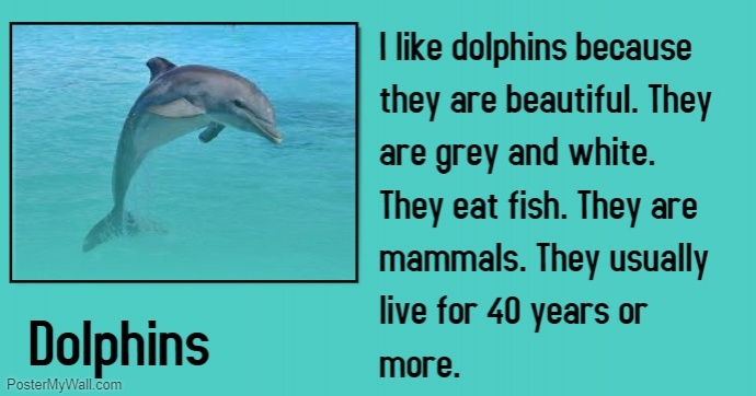 Dolphins
