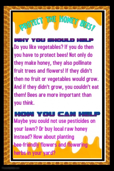 Copy of Honey For Sale