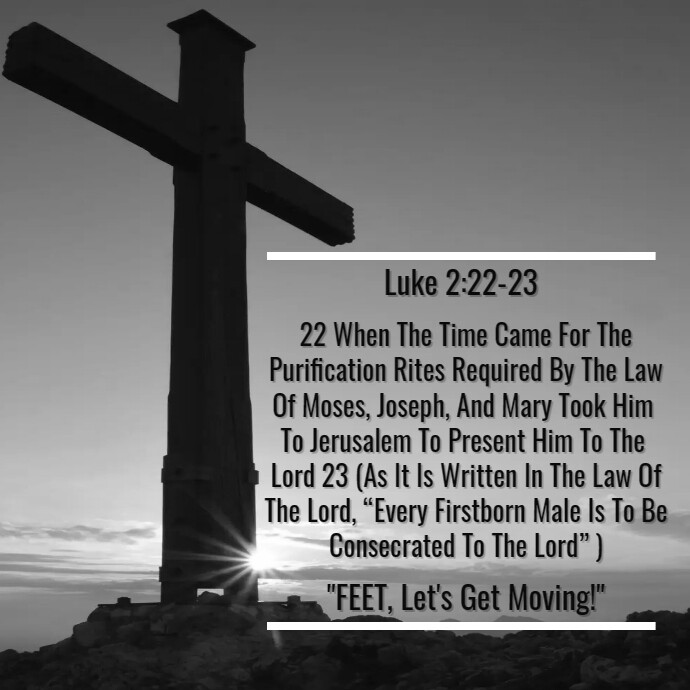 Copy Of Luke 2 22 23 POST PosterMyWall copy-of-luke-2-22-23-post-postermywall