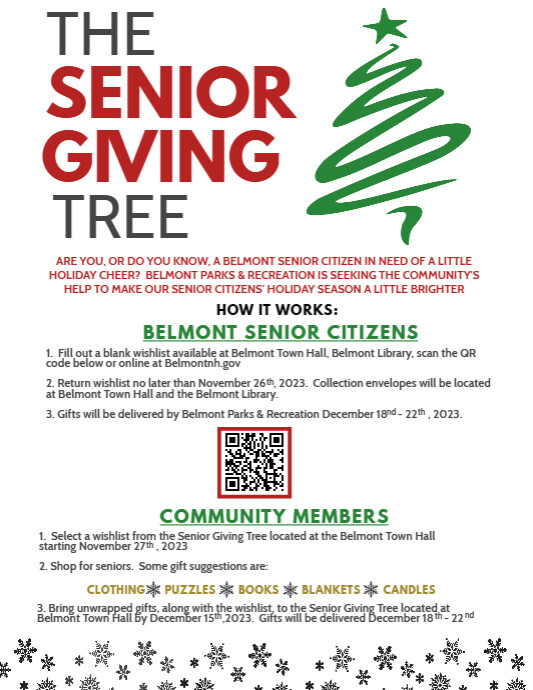 Christmas Giving Tree Flyer Template (1)