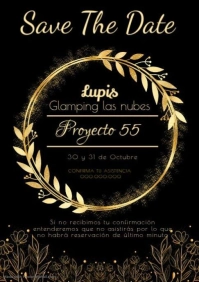 Proyecto 55