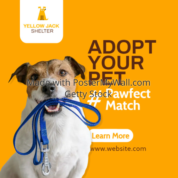 adopt your pet advertising