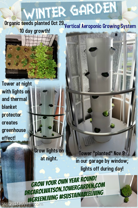 Tower Garden in Winter Affiche template