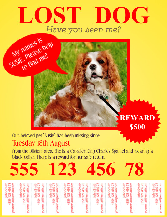 Lost Pet Flyer Template with Tabs PosterMyWall