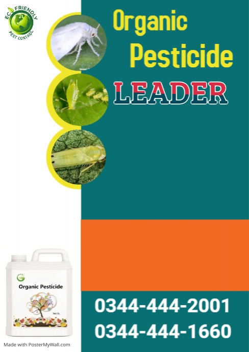 Pest Control Flyer A4 template