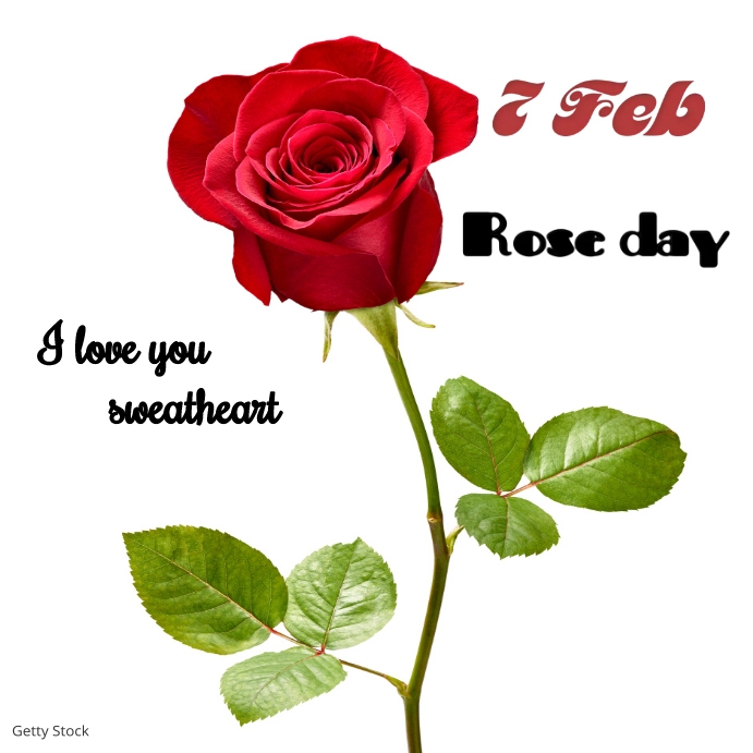Feb Roses Design 7 feb rose day instagram post Template | PosterMyWall