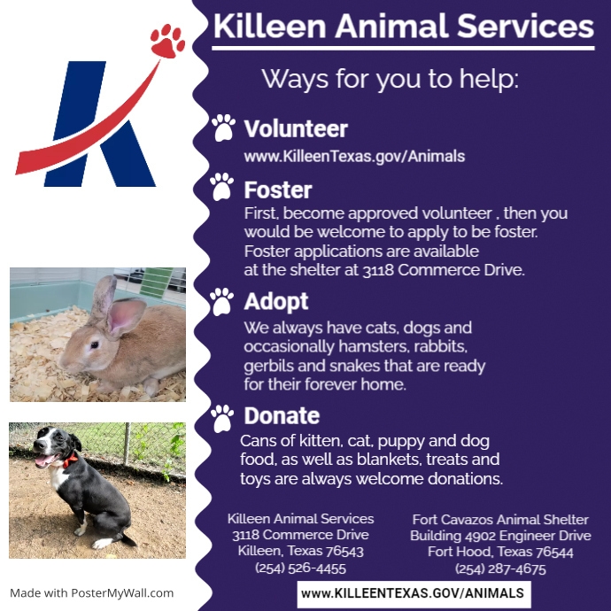 Copy of ways to help (1) PosterMyWall