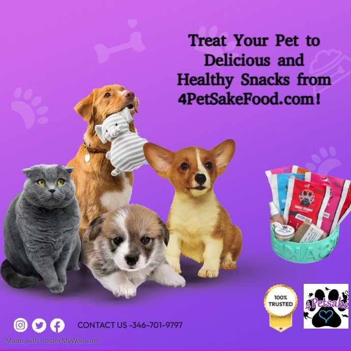 Pet Lovers PosterMyWall