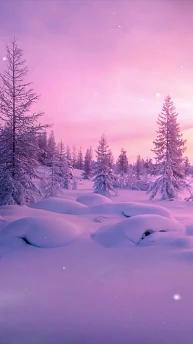 7689 Tiktok Video template