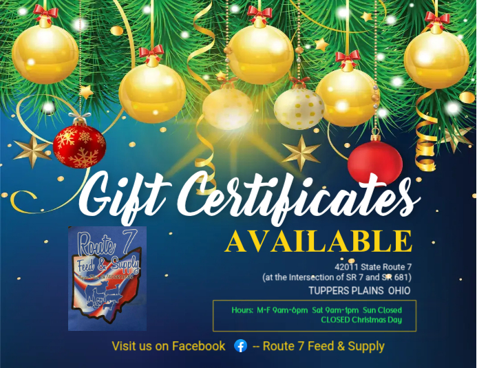 Gift Certificate Flyer | PosterMyWall