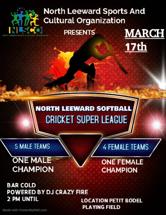 Copy of Cricket tournament flyer design | PosterMyWall