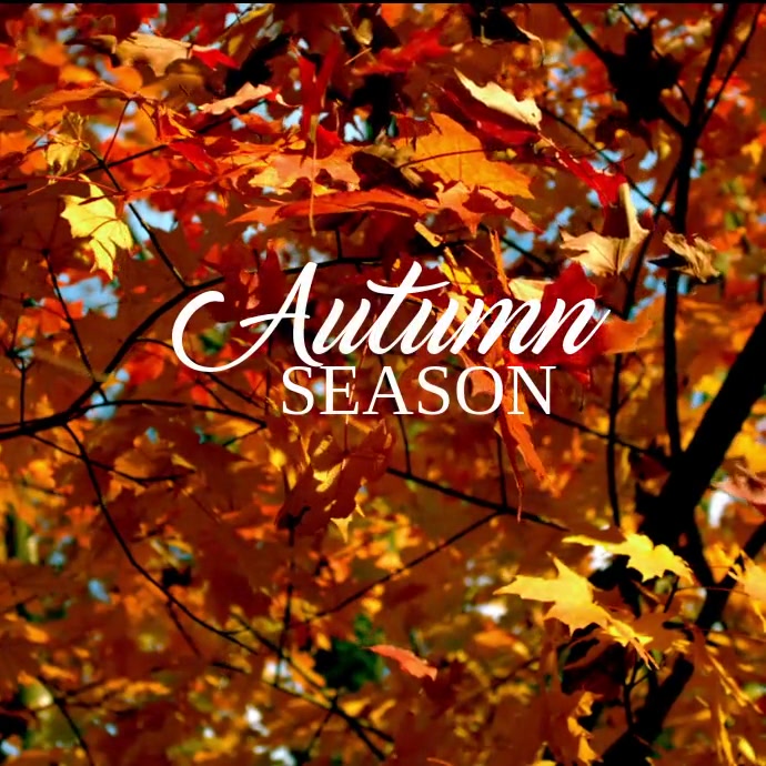 81 Autumn and Fall Template | PosterMyWall