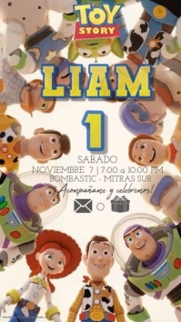 FIESTA DE LIAM✨